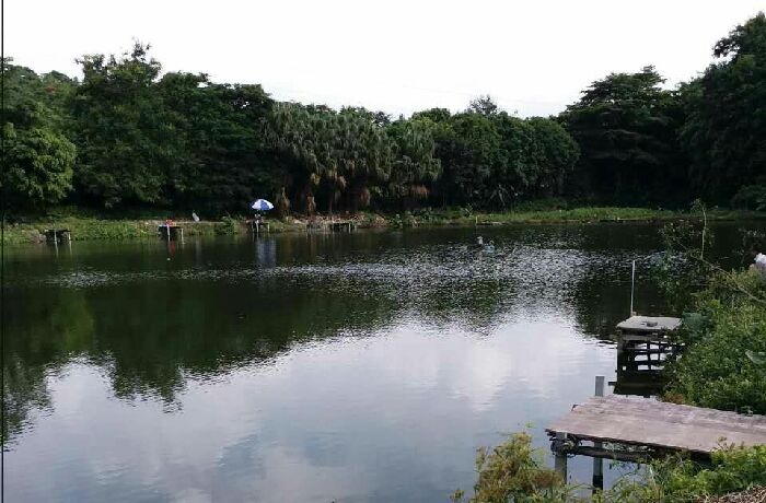 顺平钓鱼场