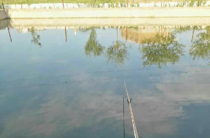 小坝镇新场街休闲垂钓场