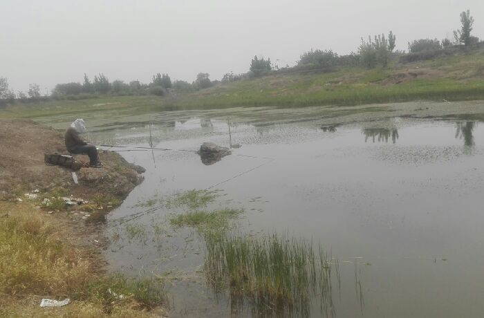 白浪河水库湾子