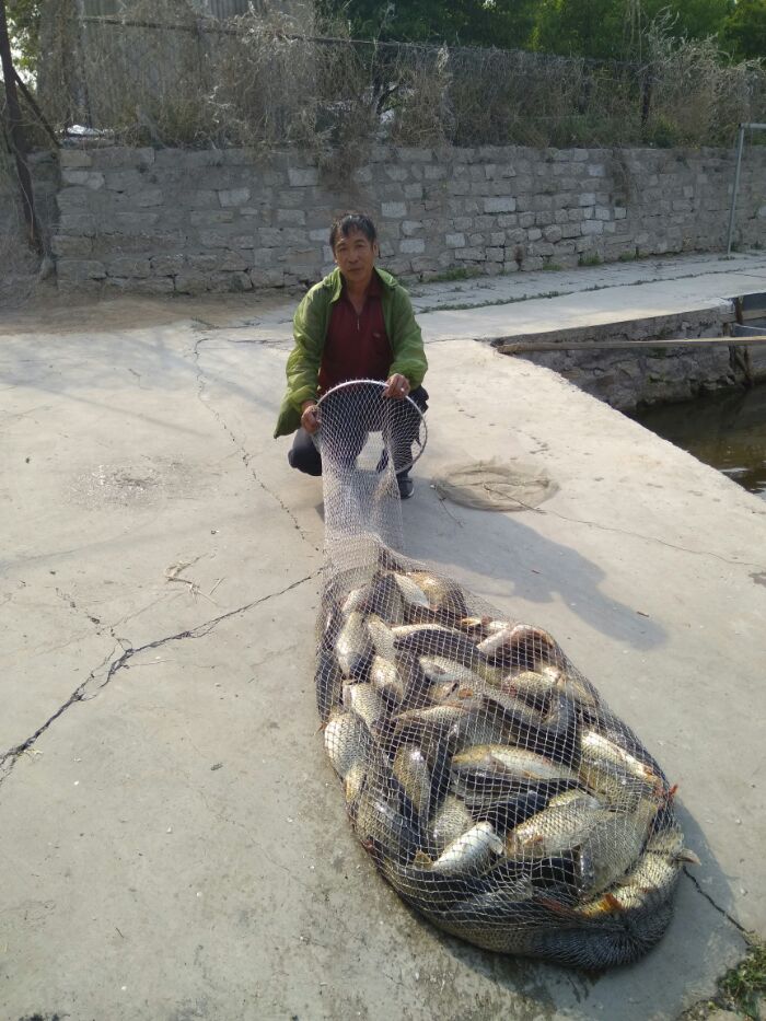 海军基地鱼乐钓场