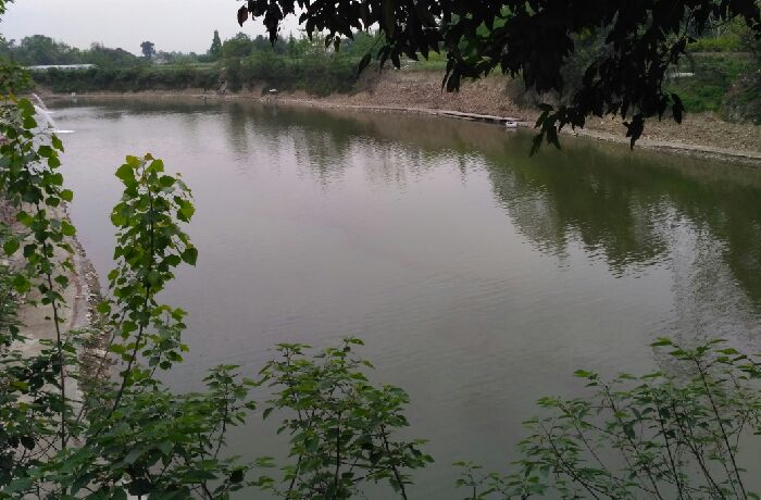 郫县余家碾渔友俱乐部