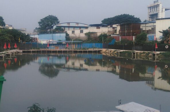 展宏图(罗边)钓鱼场