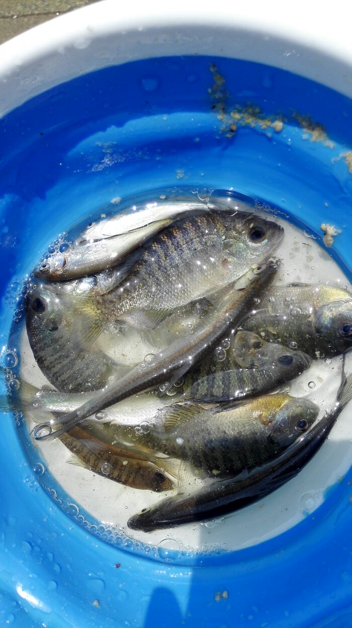 千岛湖开心庄园