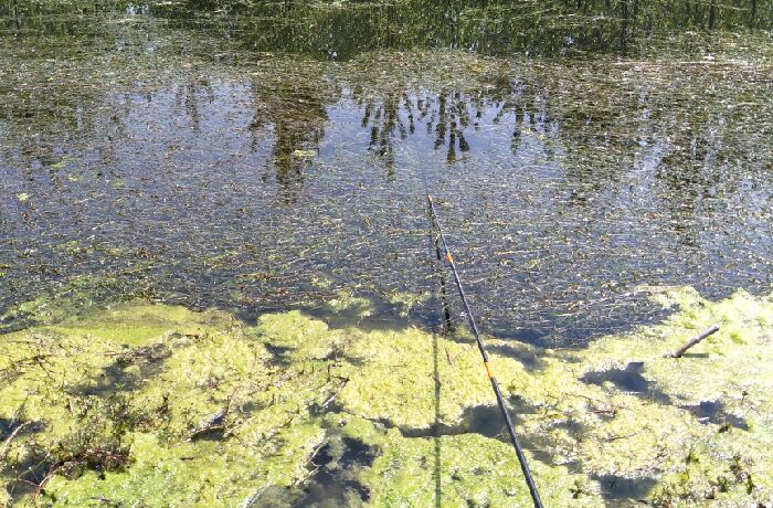 姜寨镇王楼村杨河钓点