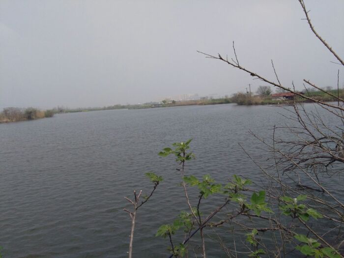 南阳农家乐农庄