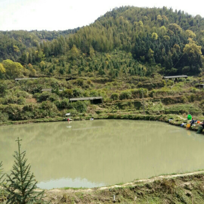 石溪垂钓池