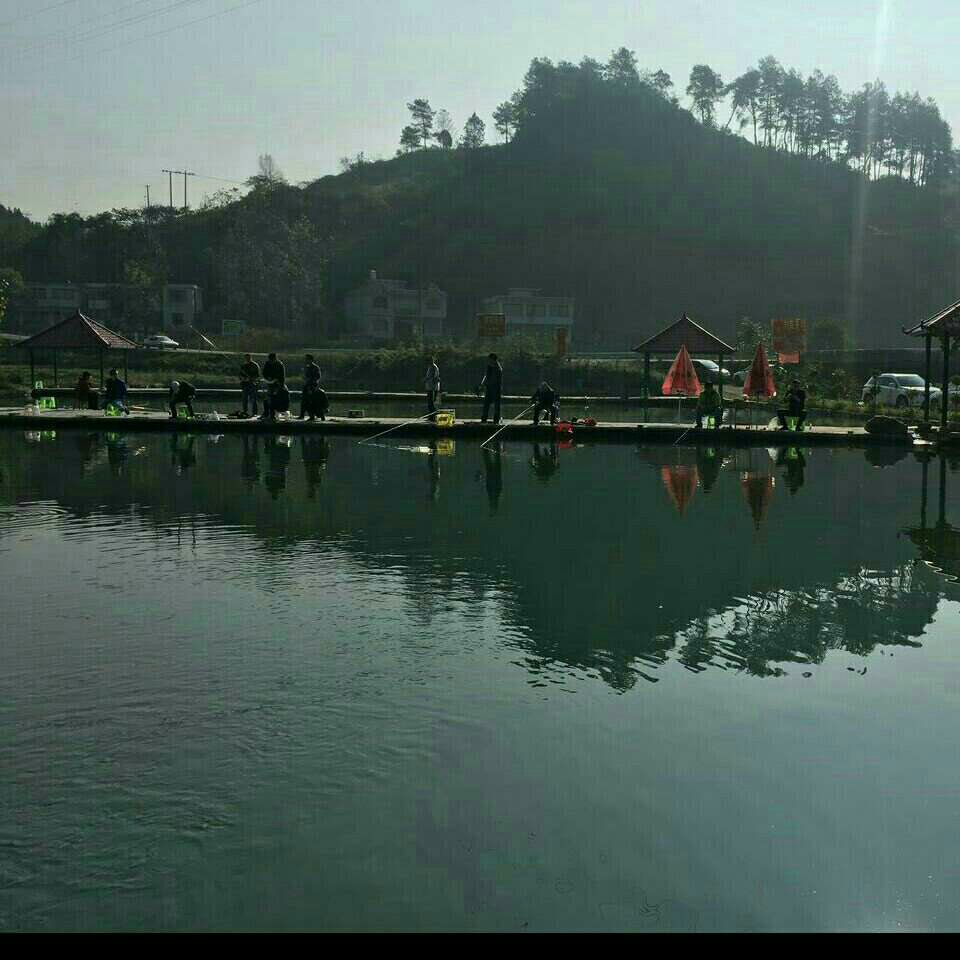 黄丝刘阳渔村鱼塘
