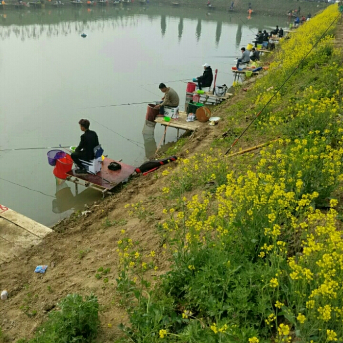 临泉县单桥镇鱼池垂钓中心