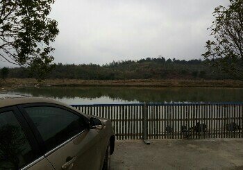 田园山庄钓鱼场