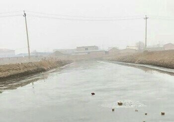 津辰第一锚韩家墅锚鱼