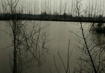 白蛇堰垂钓中心