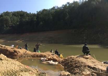 叶花庵水库钓场