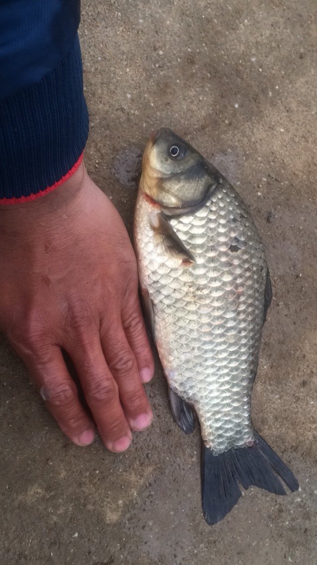 阿咪钓友娱乐中心