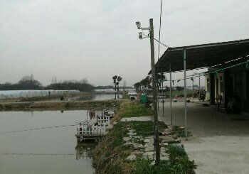 浏河镇万安鱼场