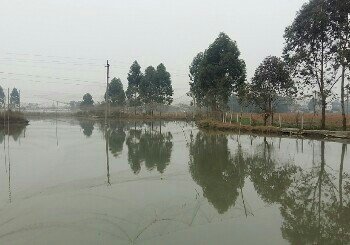 军屯镇华清家庭农场