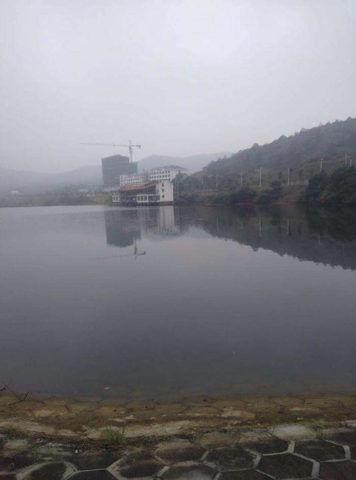 太阳城大型钓鱼场