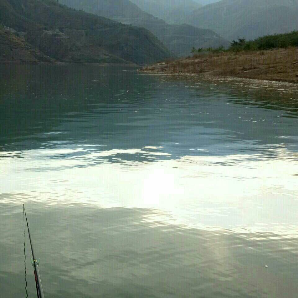 溪洛渡库区黄华