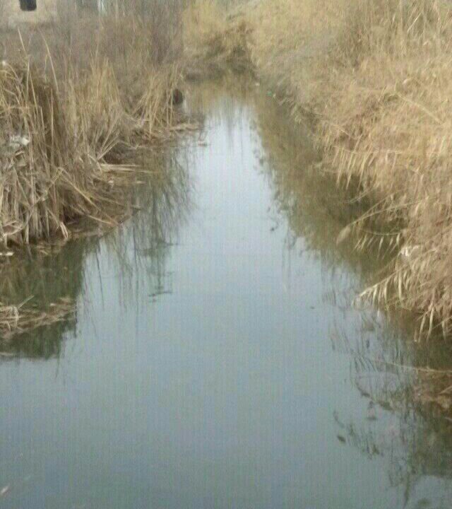 库尔勒市兰干乡太阳岛大门左侧