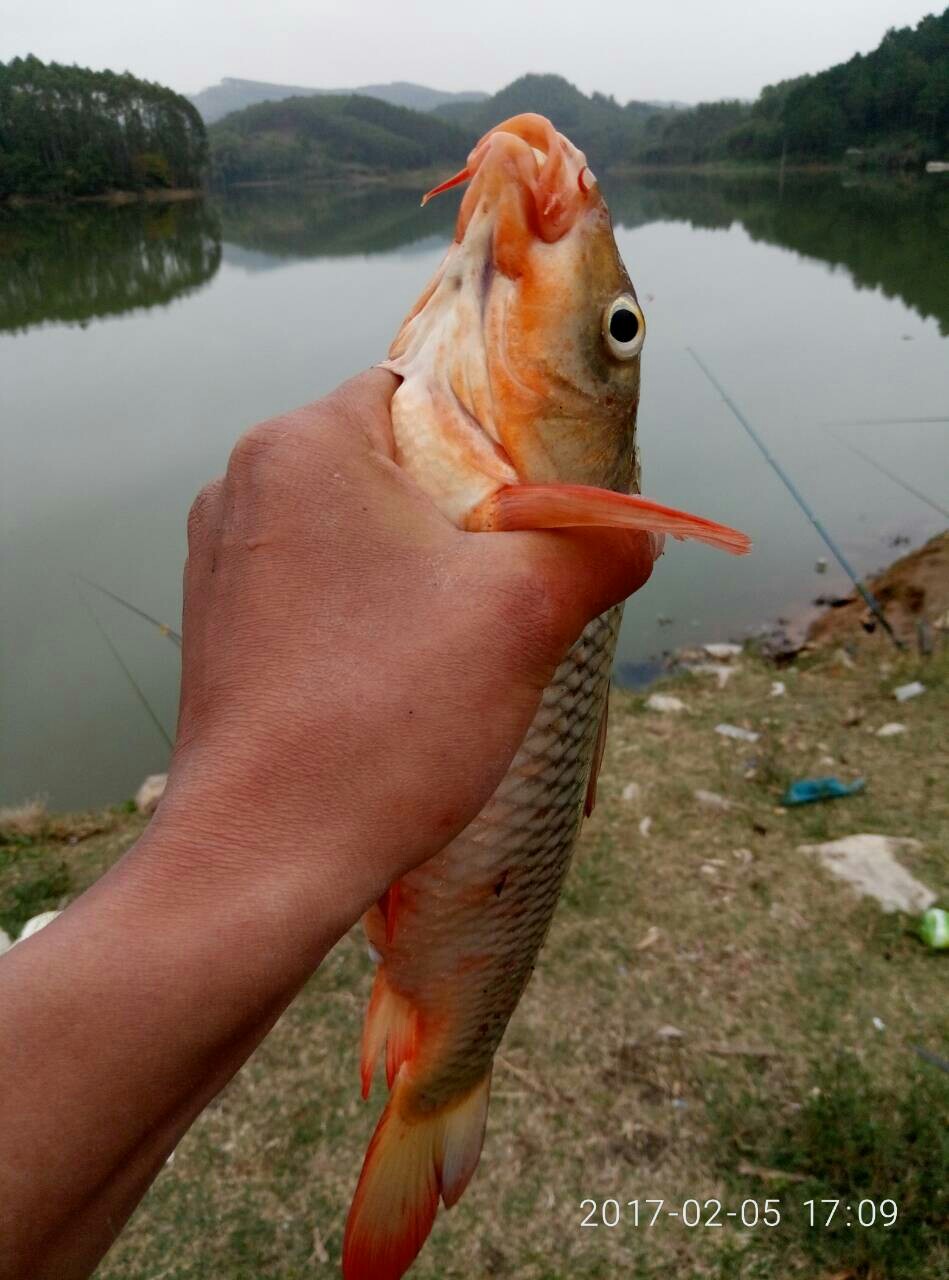 马班水库