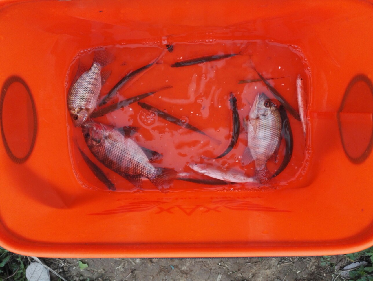 莺哥咀水文公园