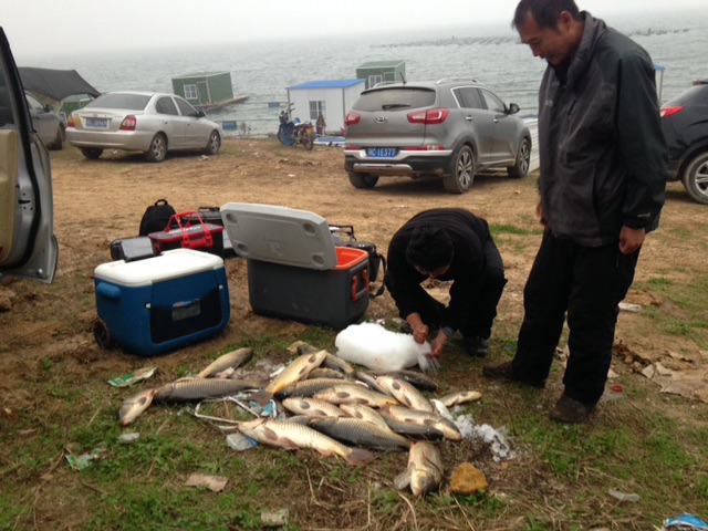 均县老吕伐钓排