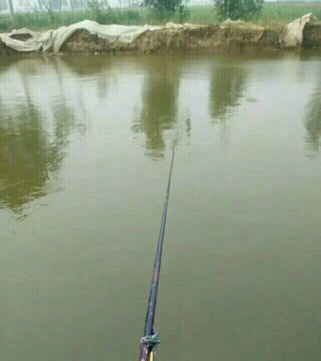 濮阳县房刘庄垂钓园