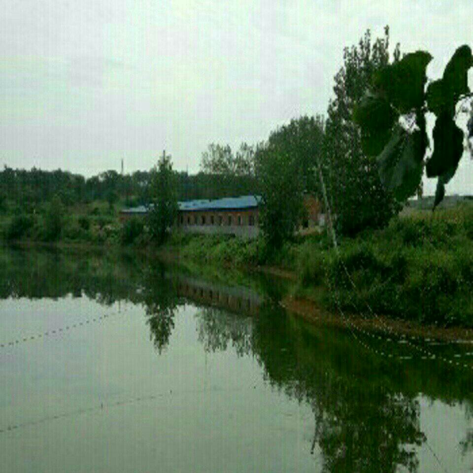 南城毛河鱼塘