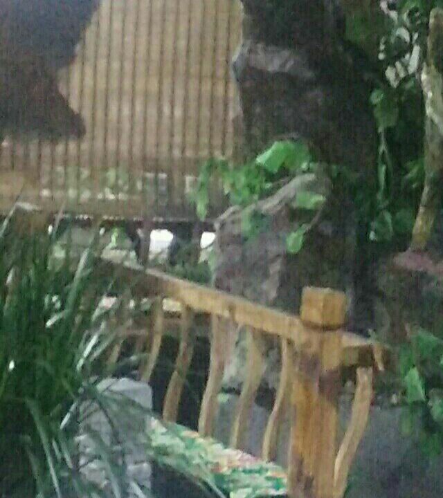 苏海生态垂钓园