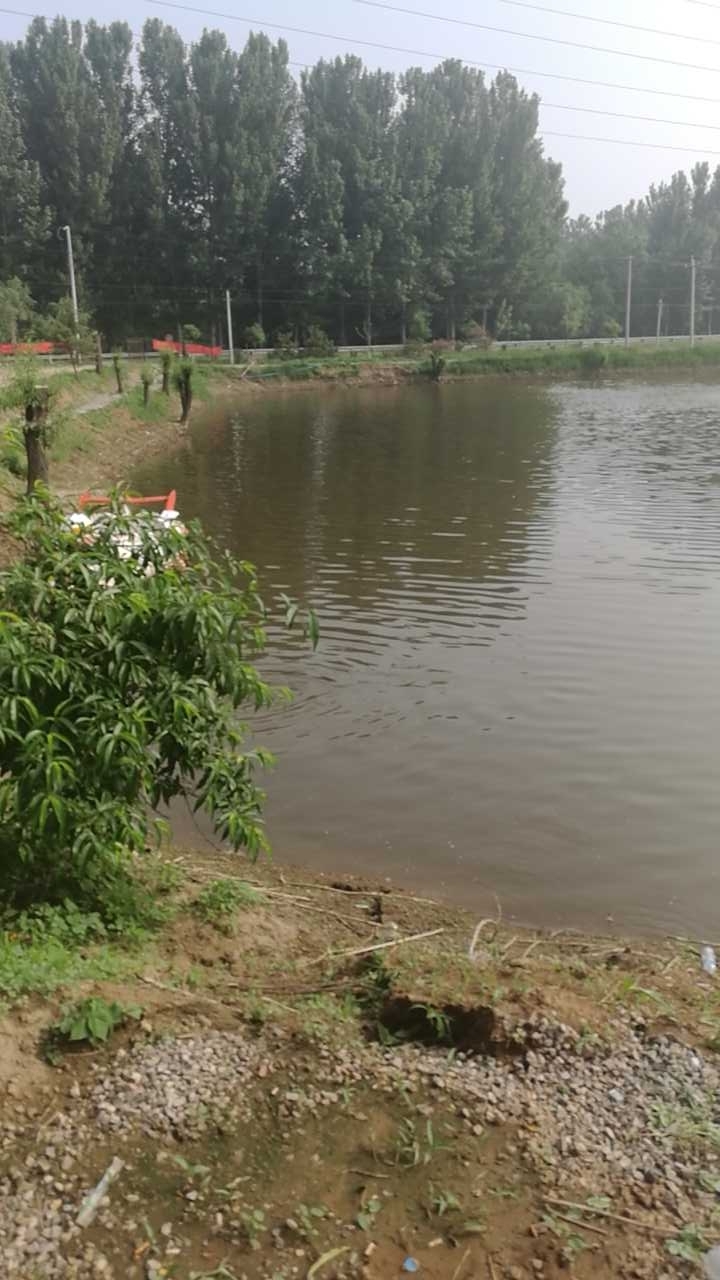 京东南湖大物园