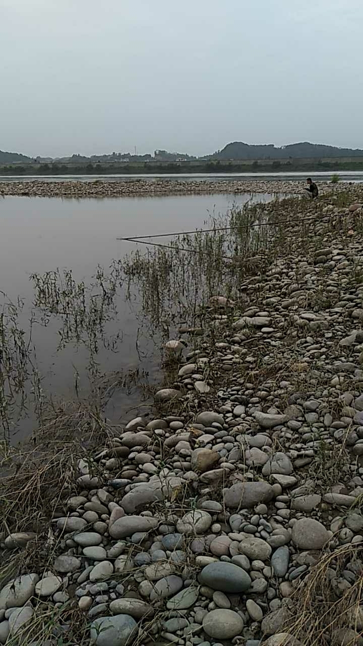 岷江边野塘