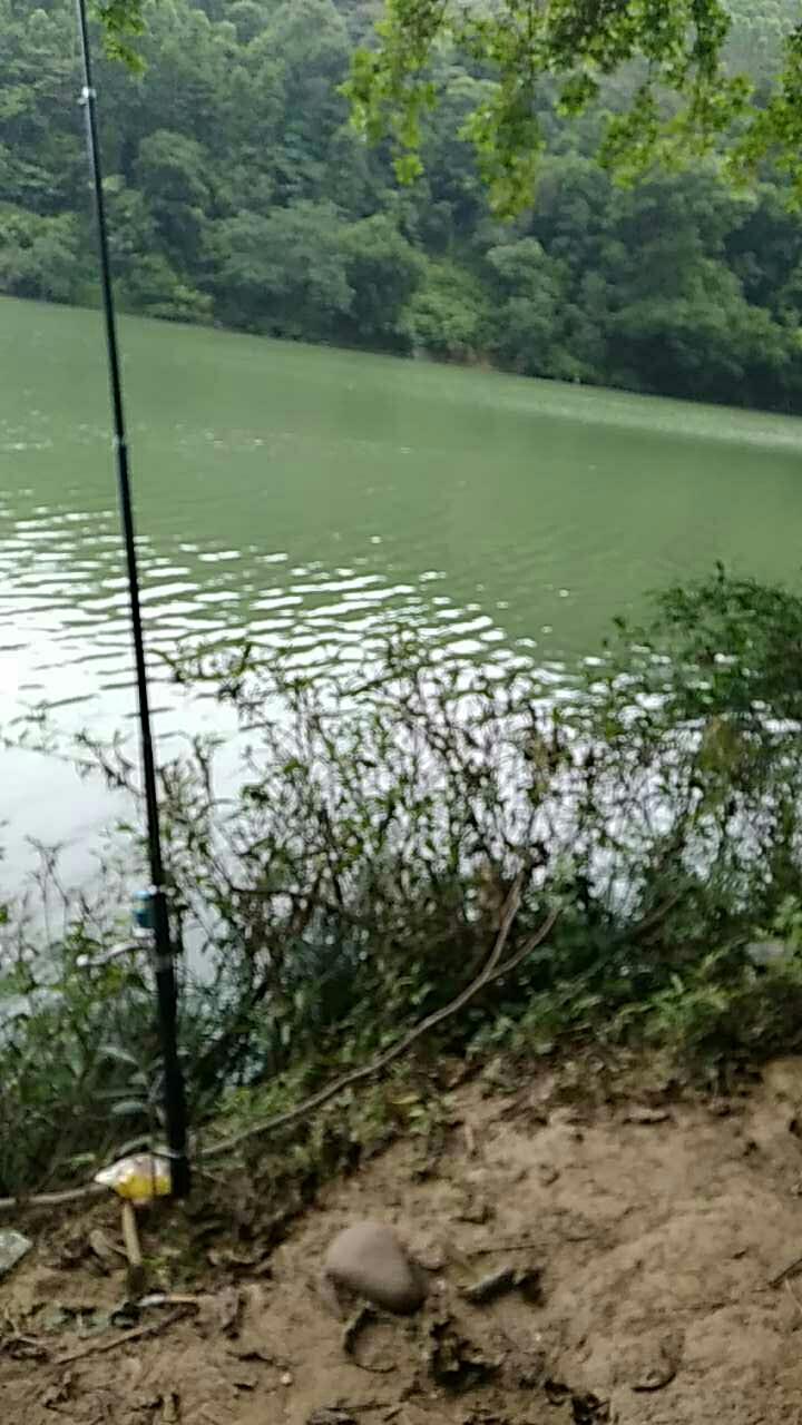 波寨里定自然钓场