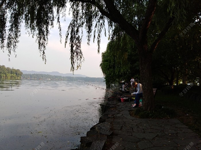 右边钓友基本都使海竿