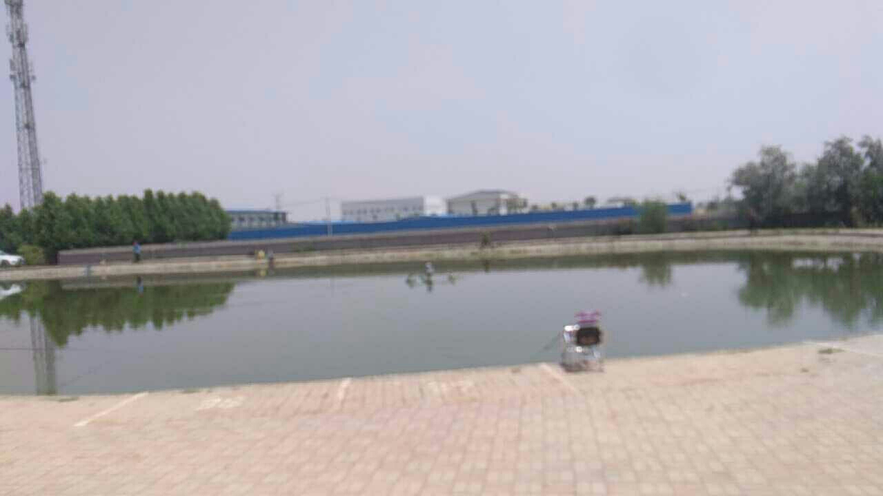 任县大渔塘垂钓园