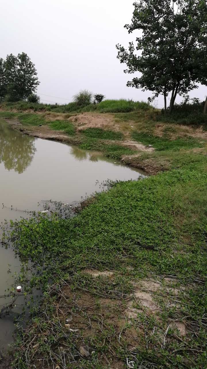 顾湾主河道