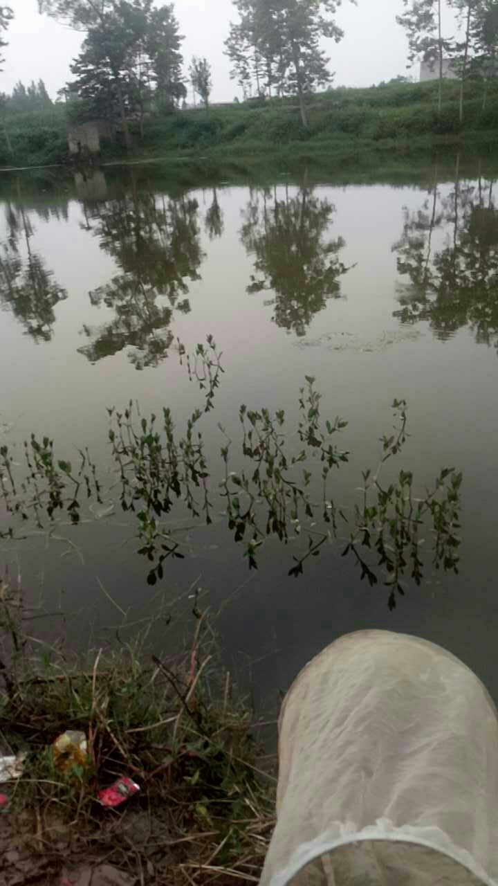 福兴易家山河里