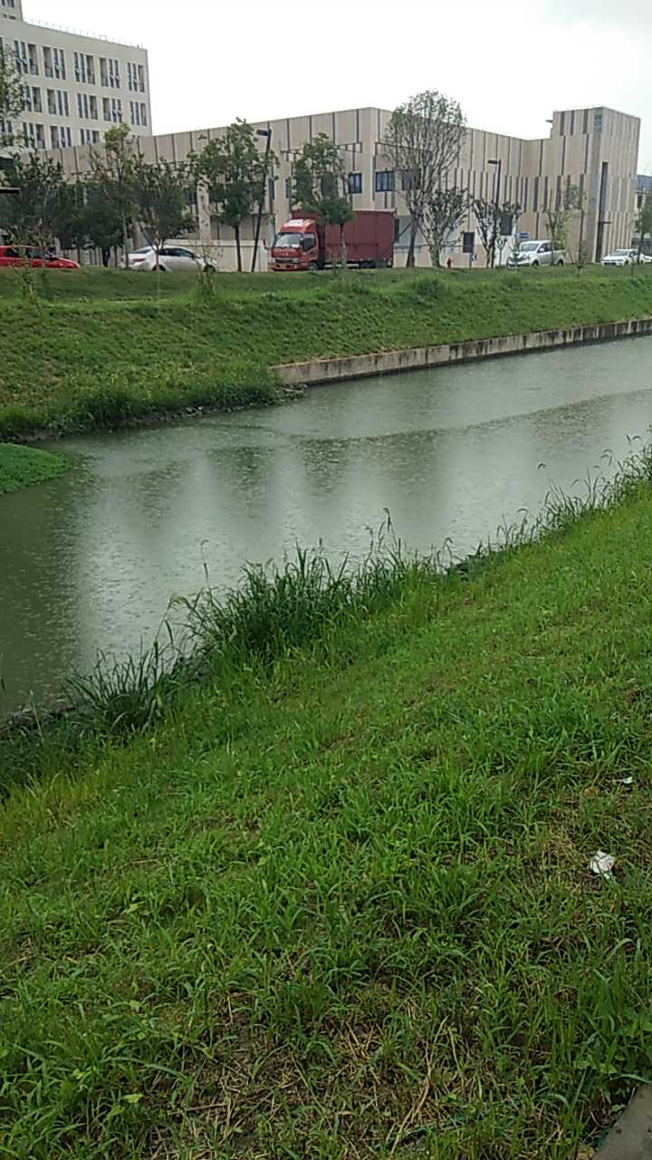 嘉定胜辛南路小河