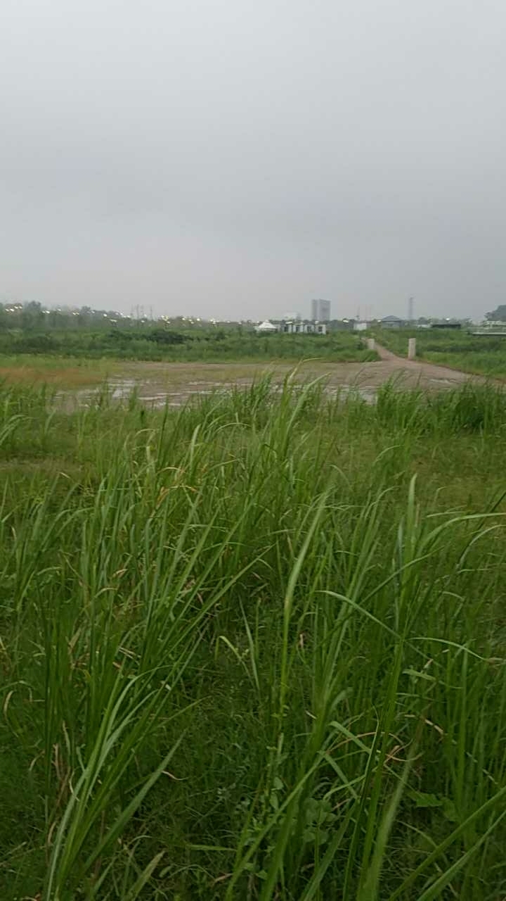 长江湿地垂钓园