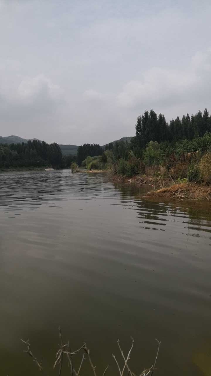 方城县独树镇梨园水库