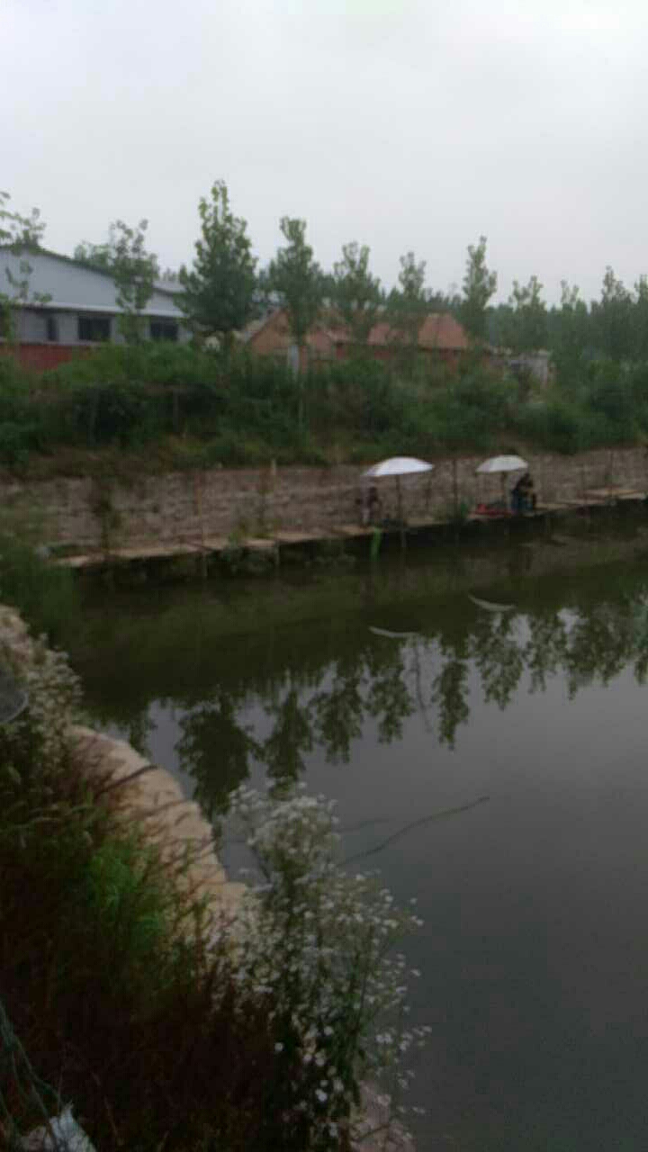 曲阜君临垂钓园