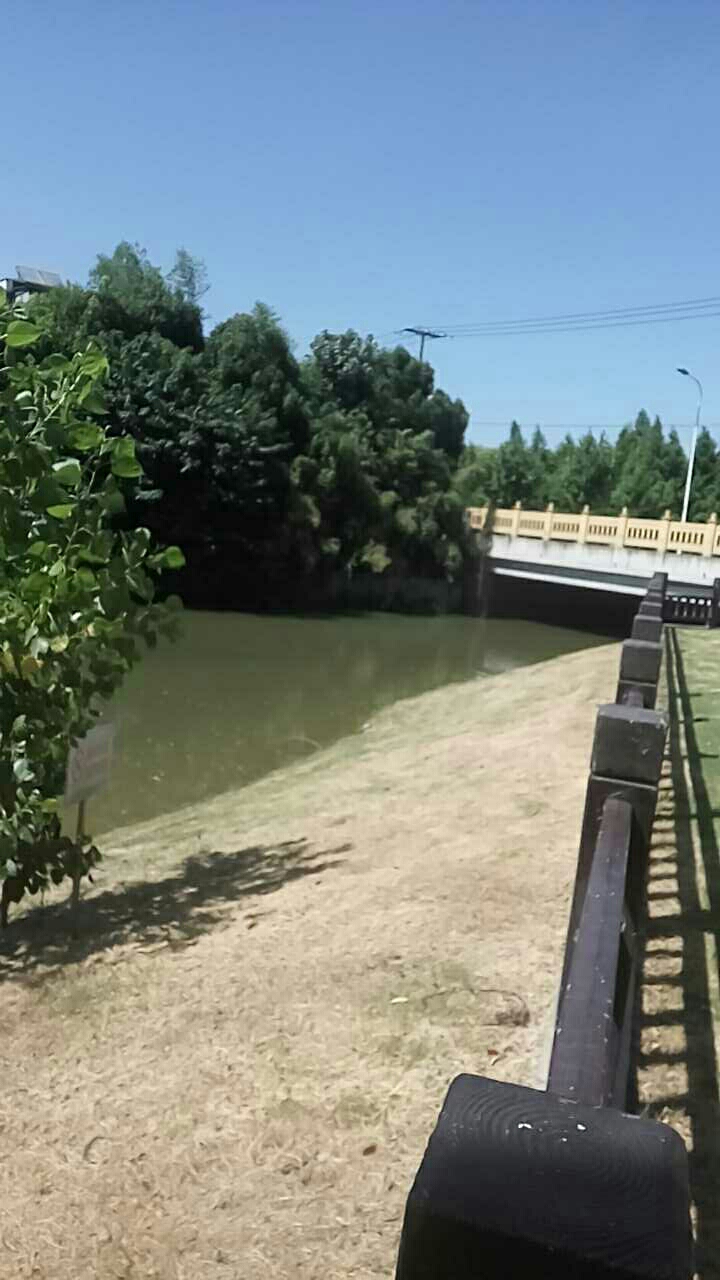 灯辉路田园路钓场