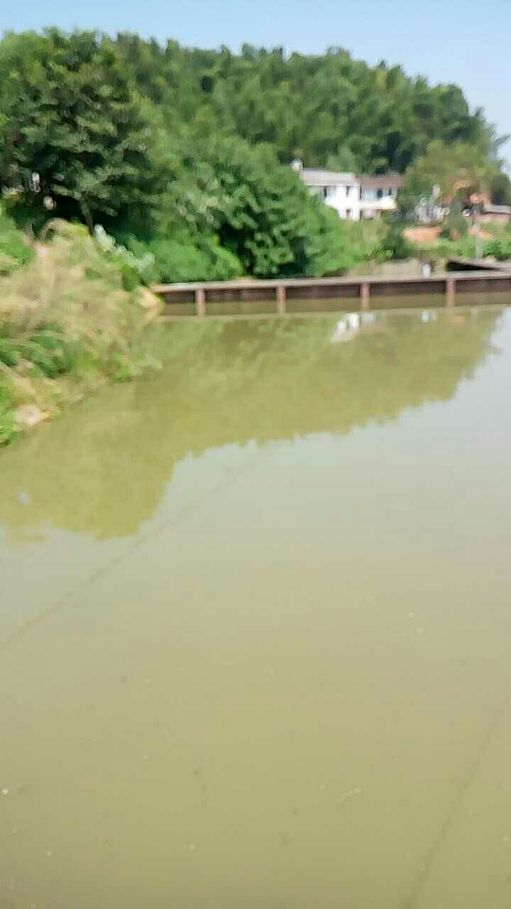 杨塘休闲垂钓园