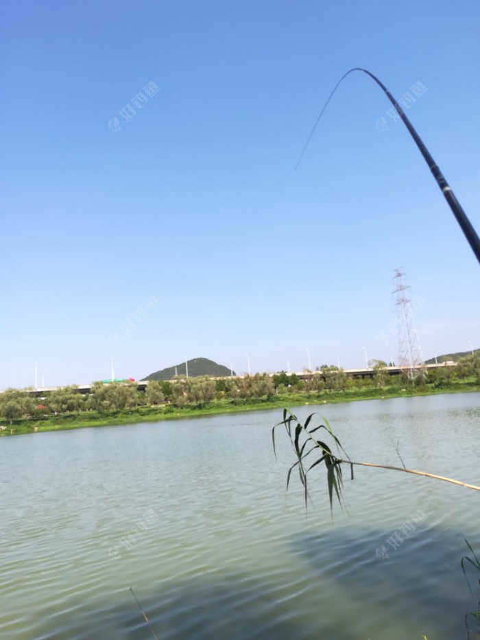 IMG_20180811_144342.jpeg