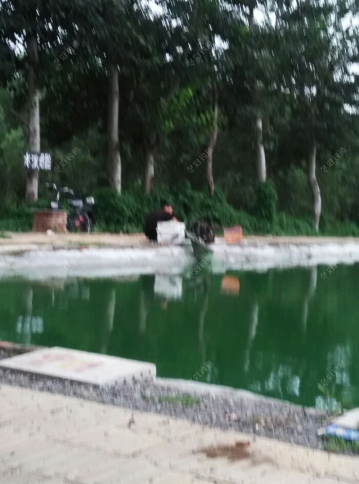 5点到了钓场,人不多(后来知道已经1个星期没放鱼了)。看到这个钓友正在收杆,先问问情况,(一天钓了一条鲤鱼,还是毛到下嘴唇上的)。看来今天的鱼南钓啊