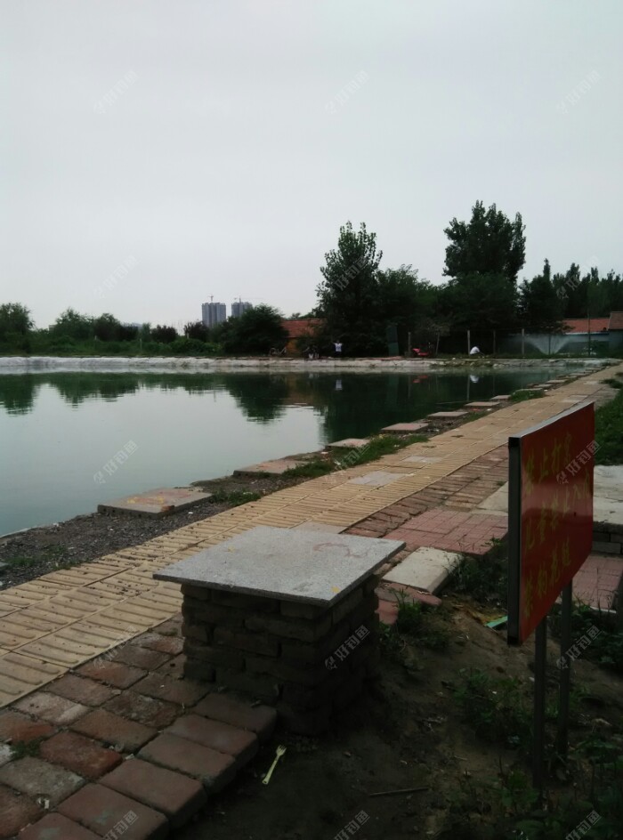 就4个人在钓,都没下护的。(池南面一个钓友)