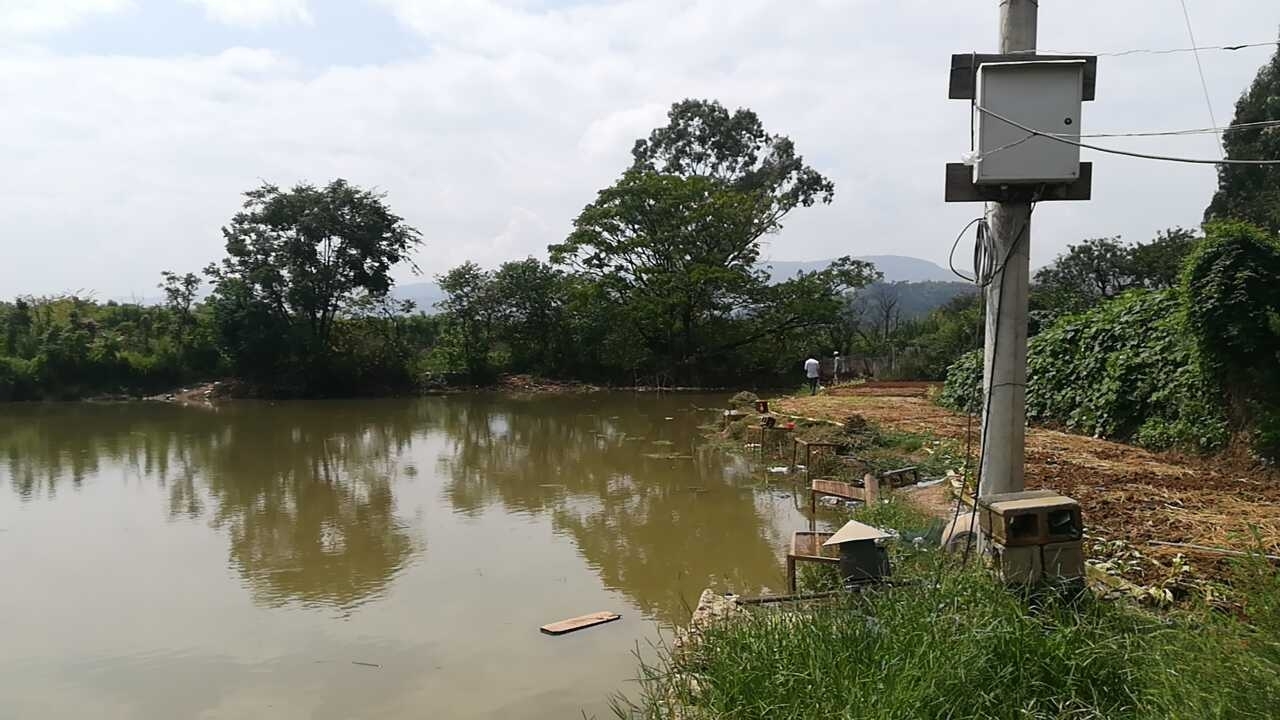 青鱼湾休闲垂钓