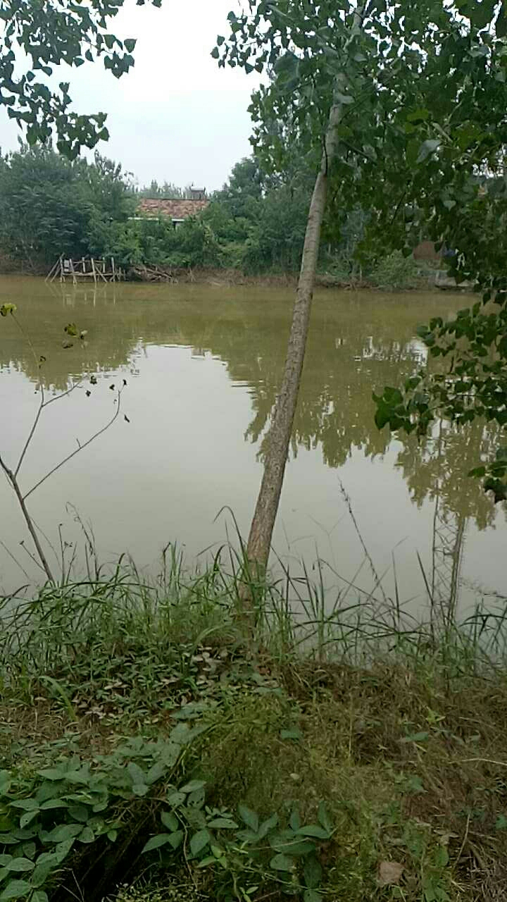 梁桥鱼塘