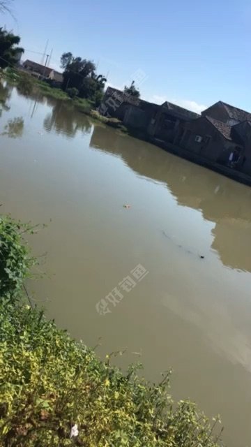 浙鳌高级中学旁野河