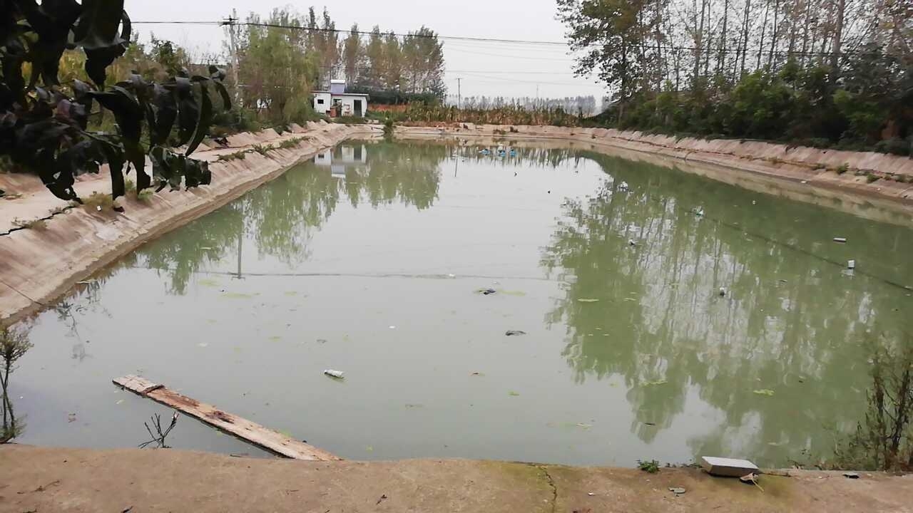 舒庄乡高庄钓场