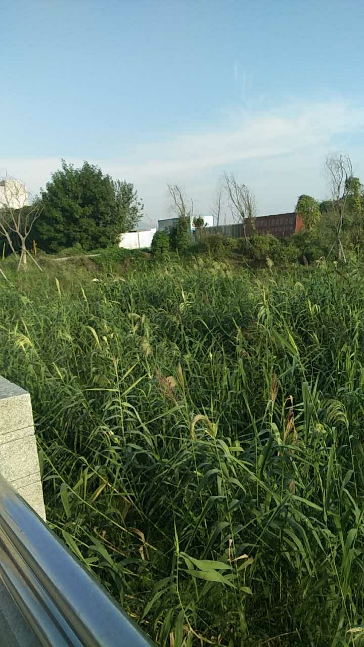 浦口区江浦街道三桥工业园芝麻河