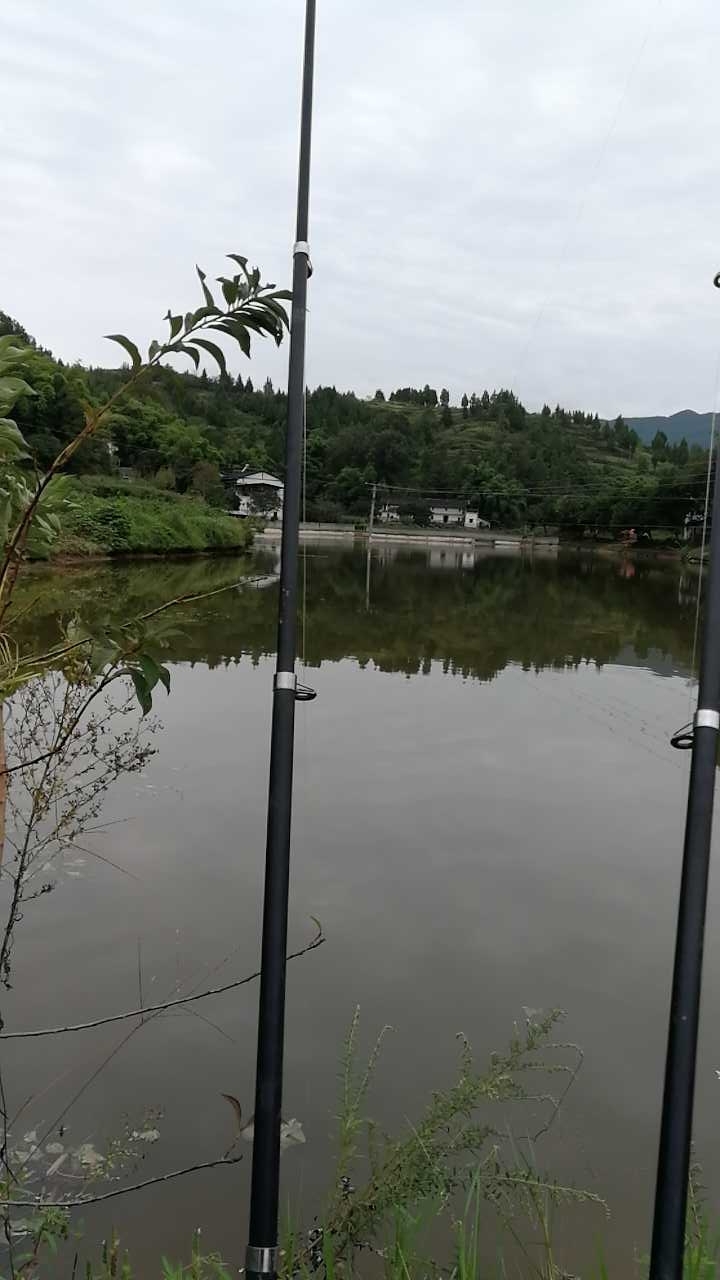 忠县双桂莲花池